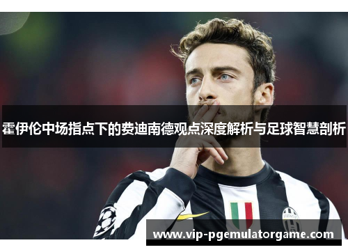 霍伊伦中场指点下的费迪南德观点深度解析与足球智慧剖析