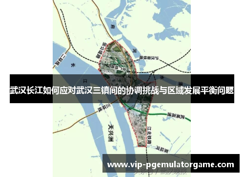 武汉长江如何应对武汉三镇间的协调挑战与区域发展平衡问题
